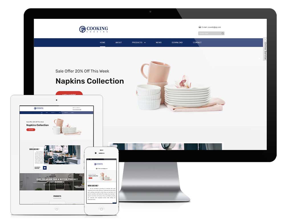 南宁定制网站案例